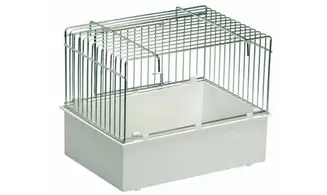 Baignoire pour oiseaux