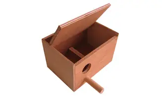 Nid pour exotiques