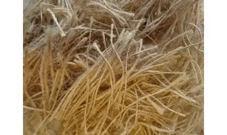Bourre de nids Jute
