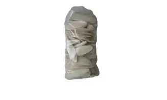 Os de seiches