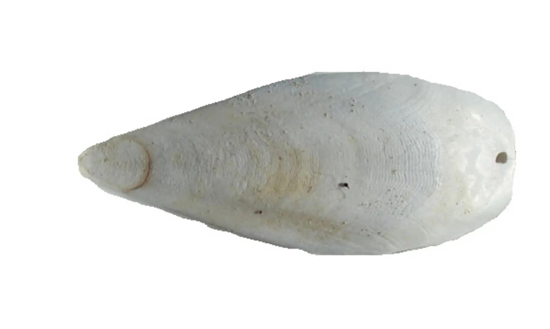 Os de seiches