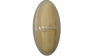 Os de seiche 1 pce