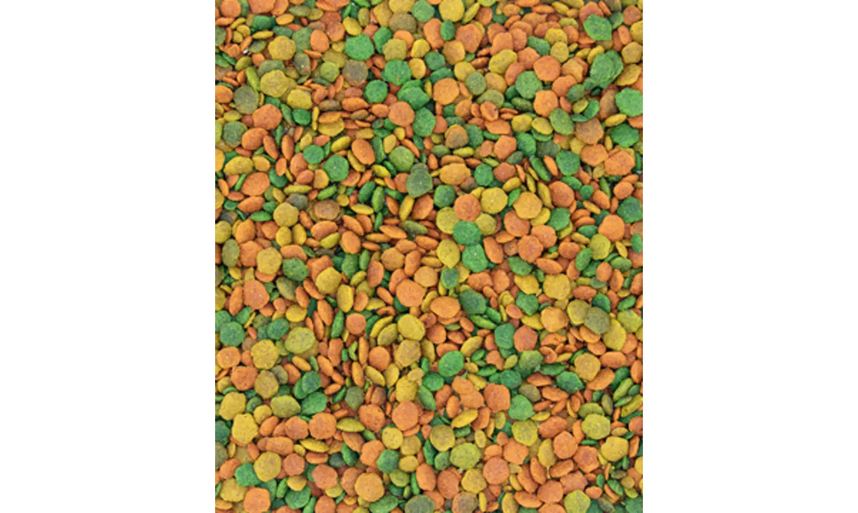 Nutribird G18 Tropical