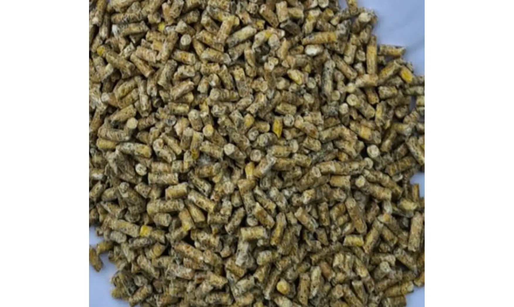 Poulet fermier GRTA