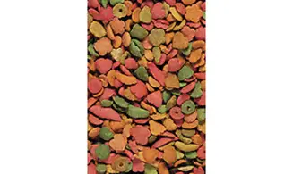 Nutribird P15 Tropical