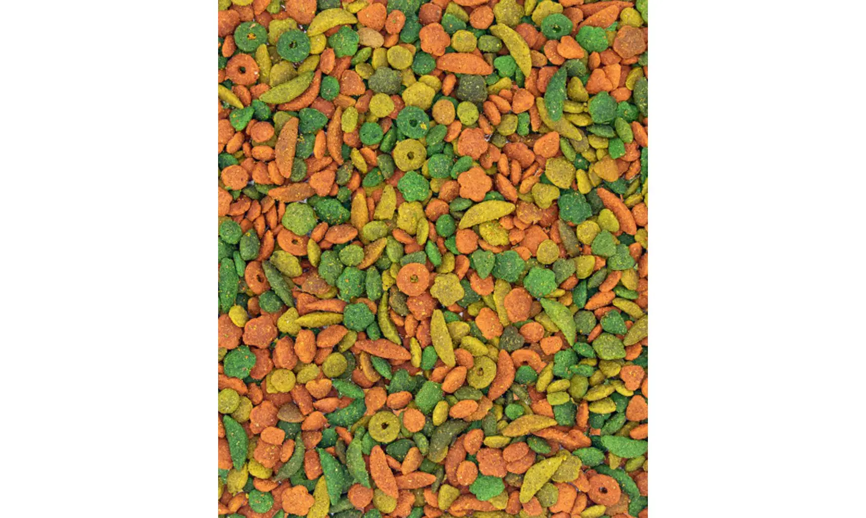 Nutribird P19 Tropical