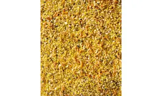 Orlux Gold Exotiques