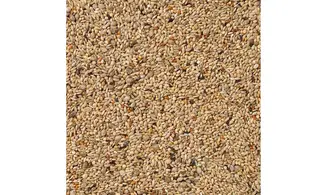 Graines Perruches Elevage . Deli Nature