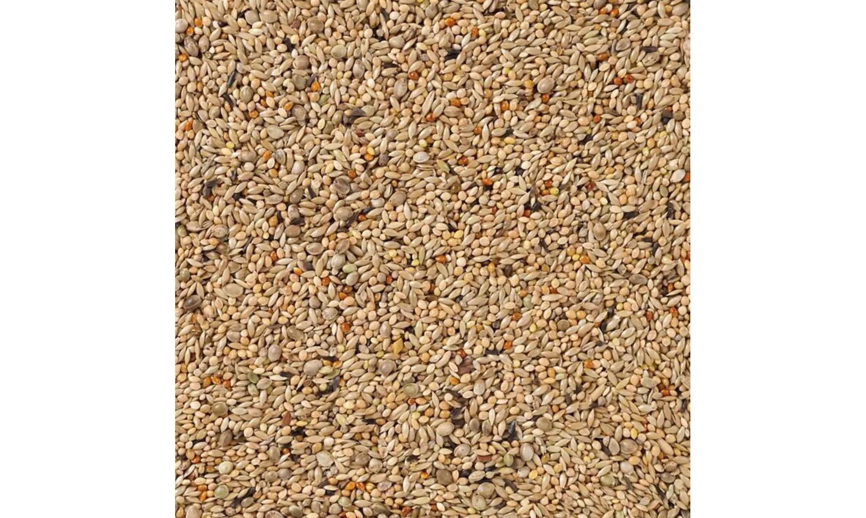 Graines Perruches Elevage . Deli Nature