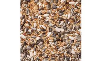 Graines Grandes Perruches+Tournesol