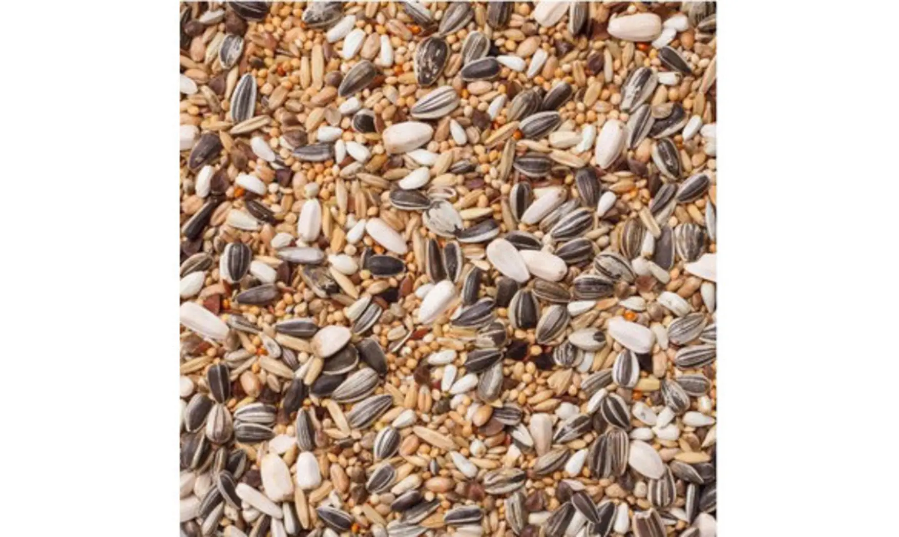 Graines Grandes Perruches+Tournesol