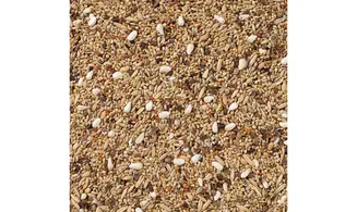 Gds Perruches/Agapornis sans Tournesol