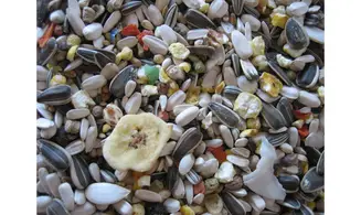 Perroquet Suprême+Fruits, sans Arachides