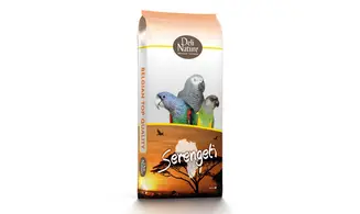 Perroquets Africains . . . . Serengeti