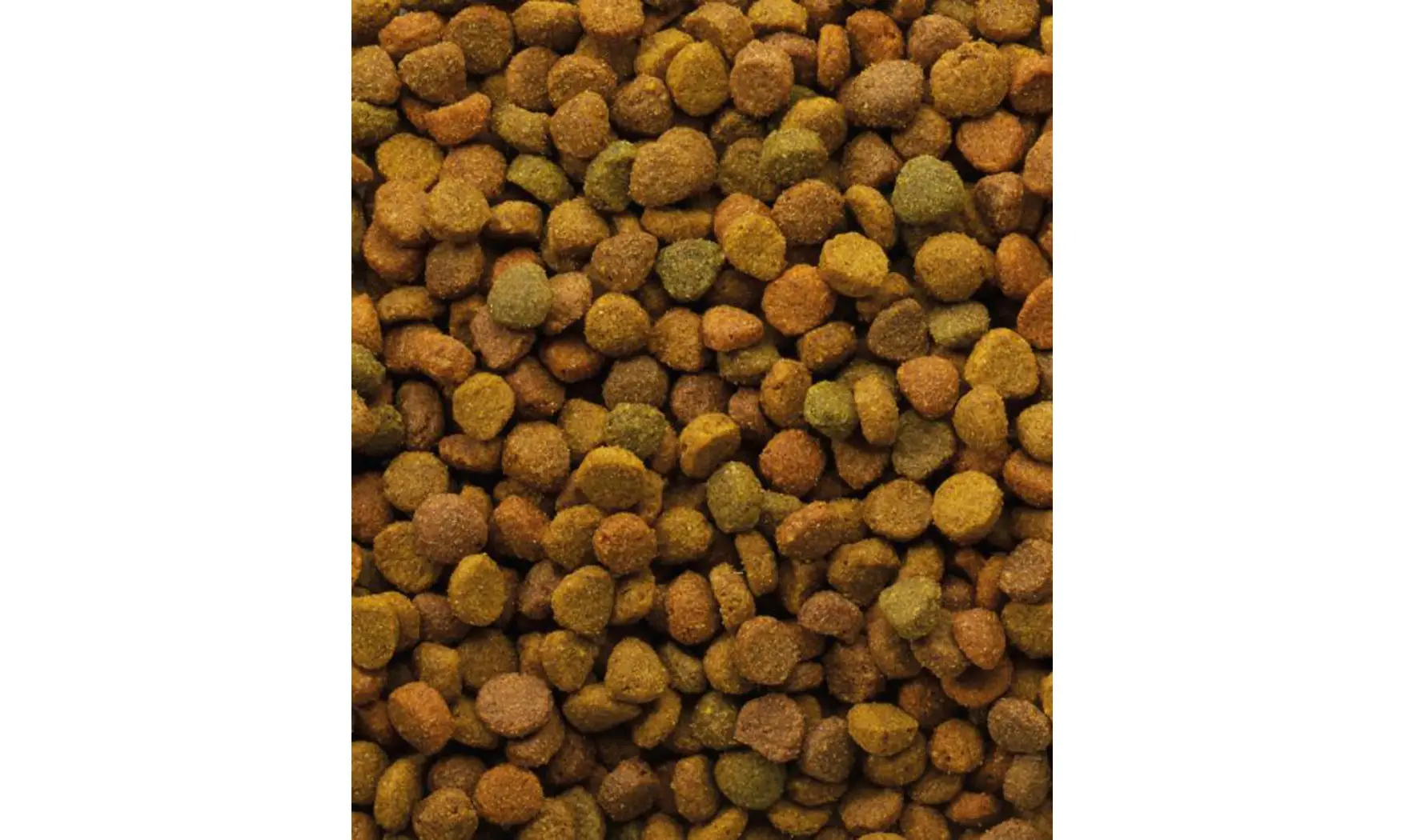 Aliment Chat Variety