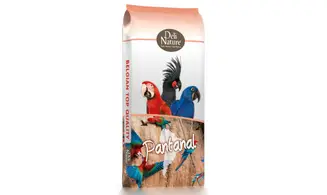 Perroquets Sud-Américains Pantanal