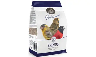 Spinus Tarins Deli Nature