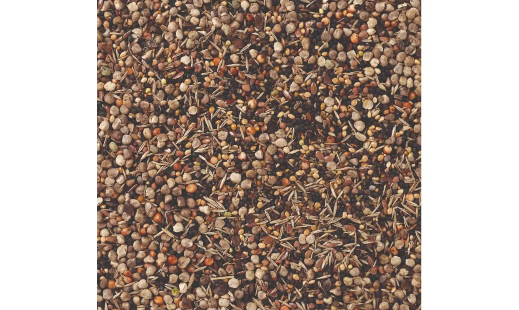 Graines sauvages/santé