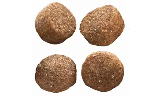Adult Medium
