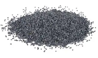 Pavot bleu