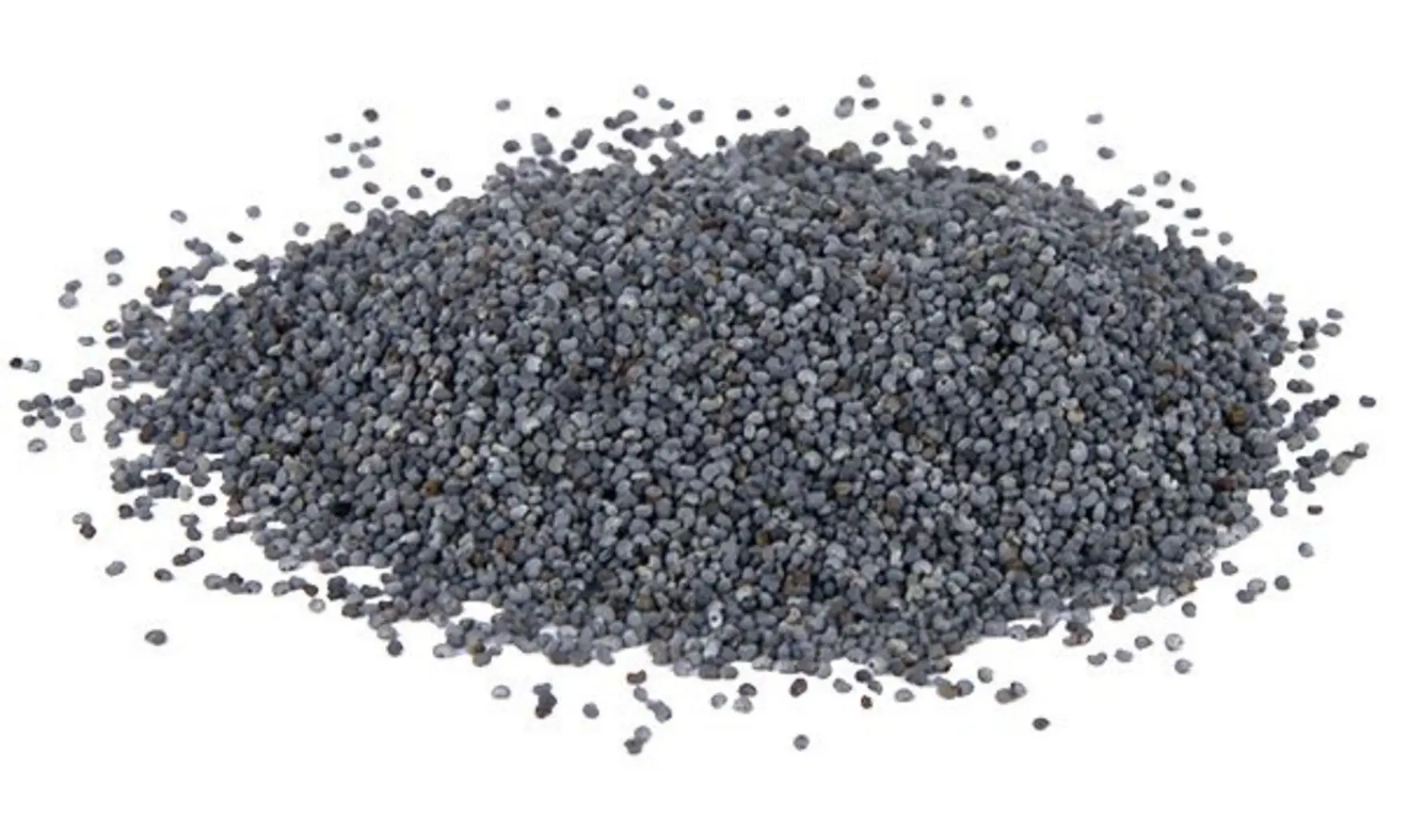 Pavot bleu