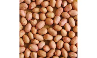Arachides pelés