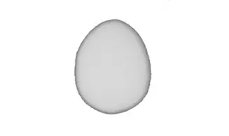 Oeuf factice poule
