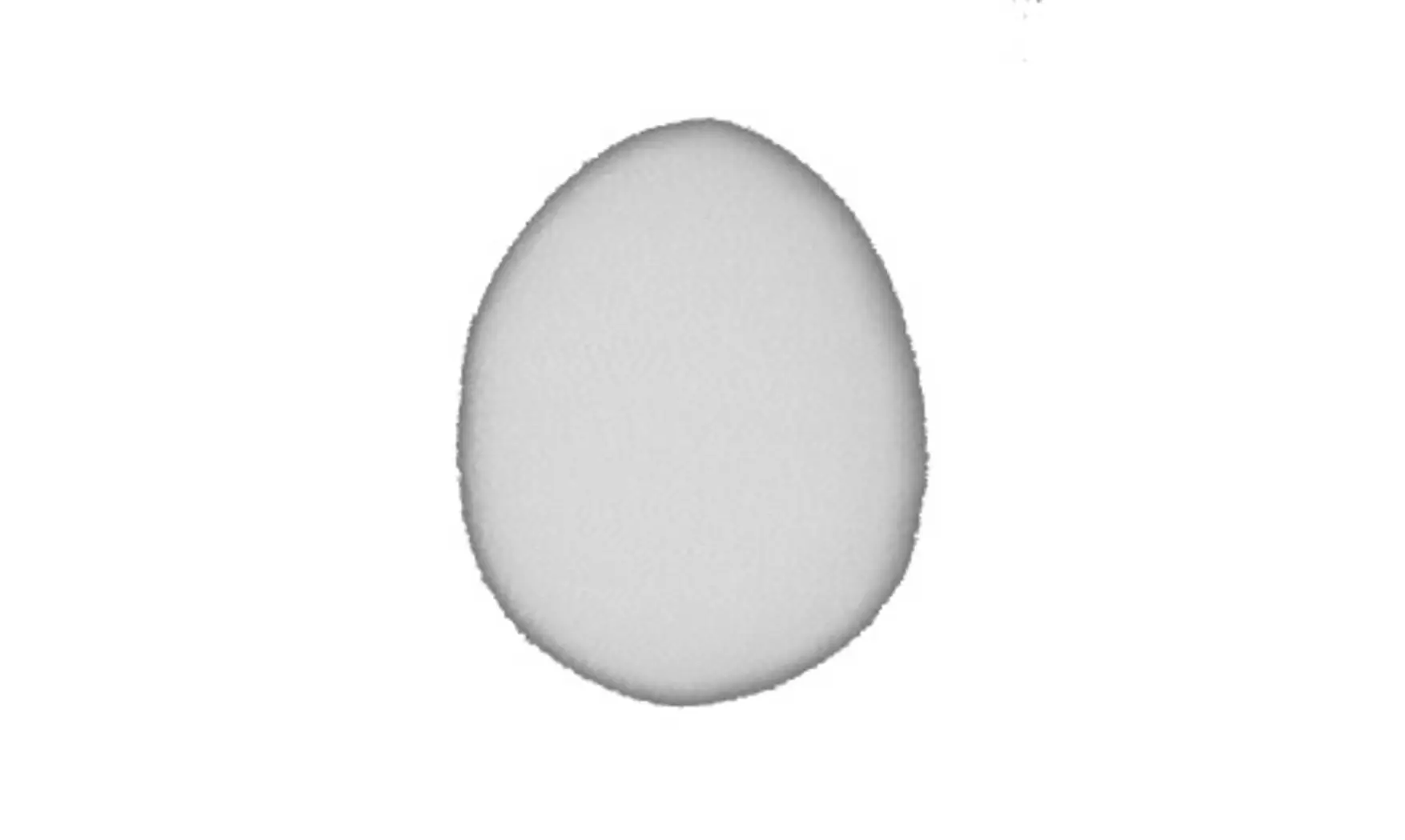 Oeuf factice poule