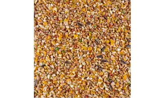 Grains poules Deli Nature
