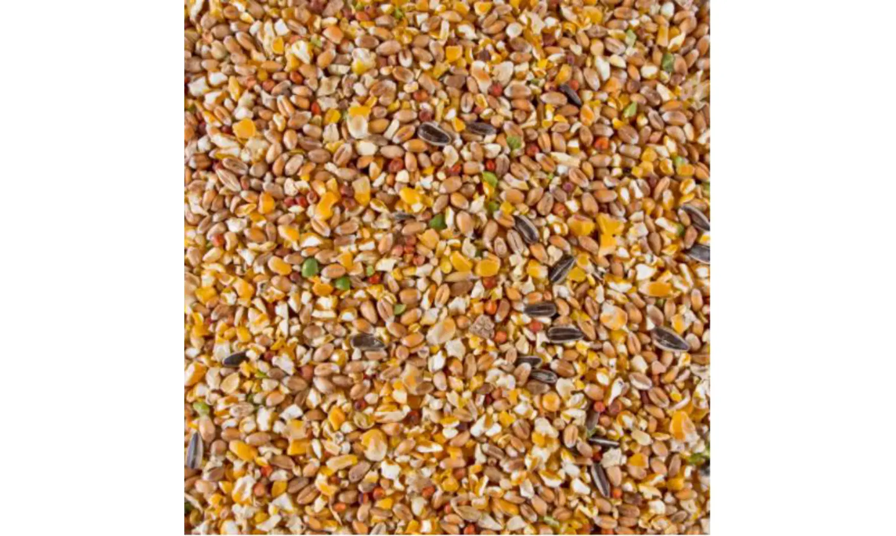 Grains poules Deli Nature