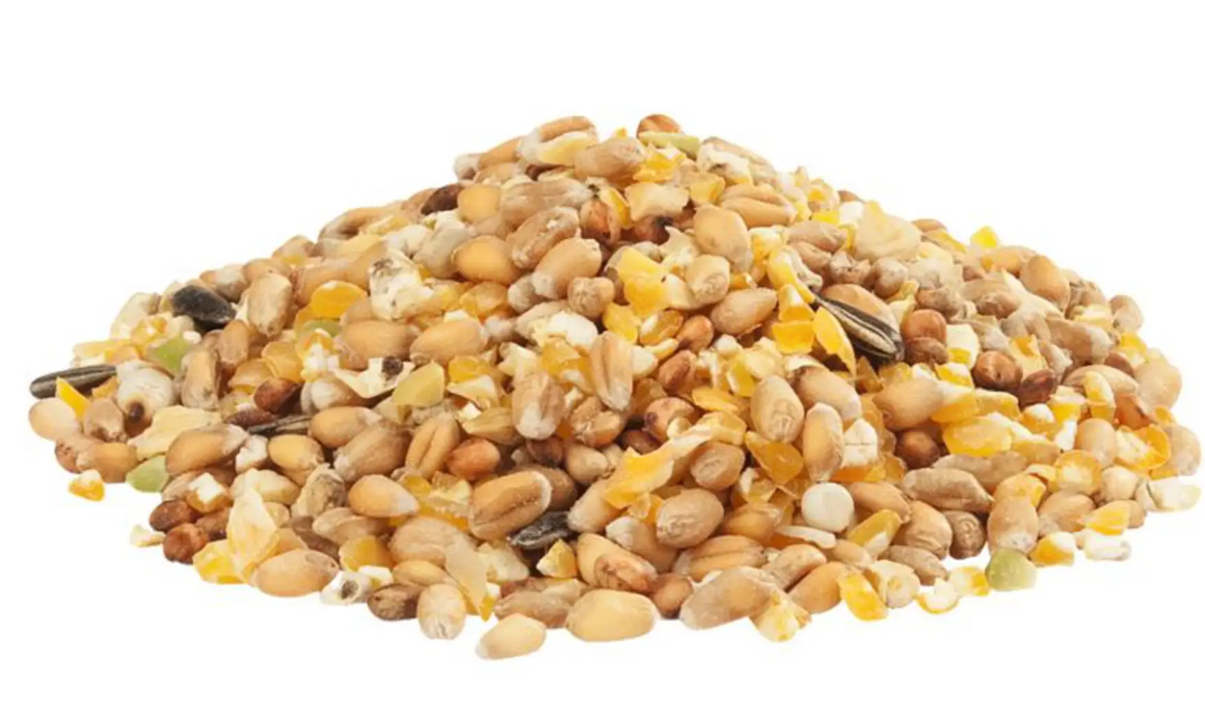 Grains poules GraMix