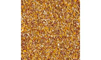 Faisans Cailles grain fin