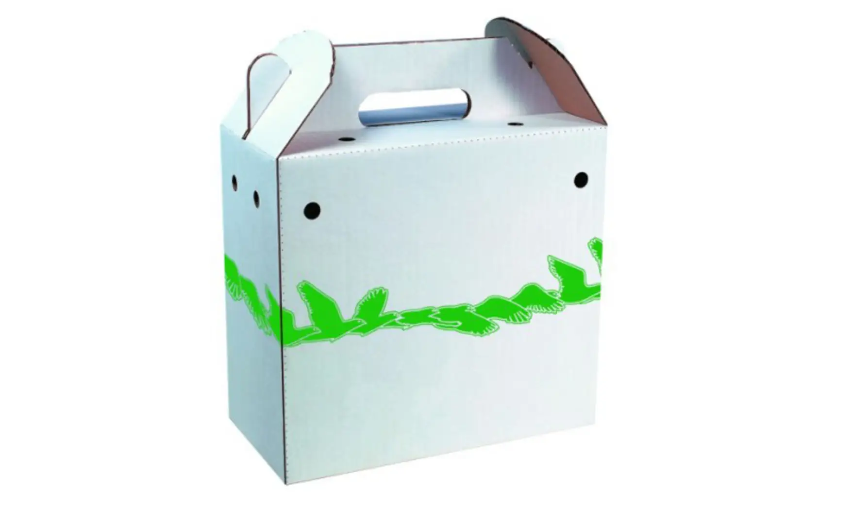 Carton transport 1 pigeon