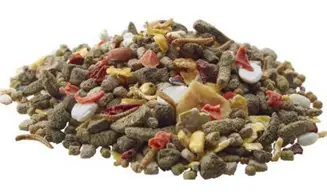 Aliment Gerbilles Nature