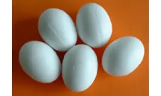 Oeufs factices de pigeons