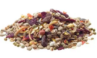 Aliment Rats Nature