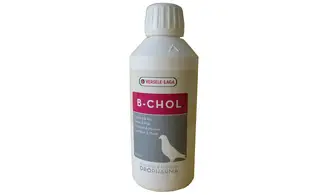 B-Chol Mue