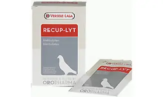Recup-Lyt 240g