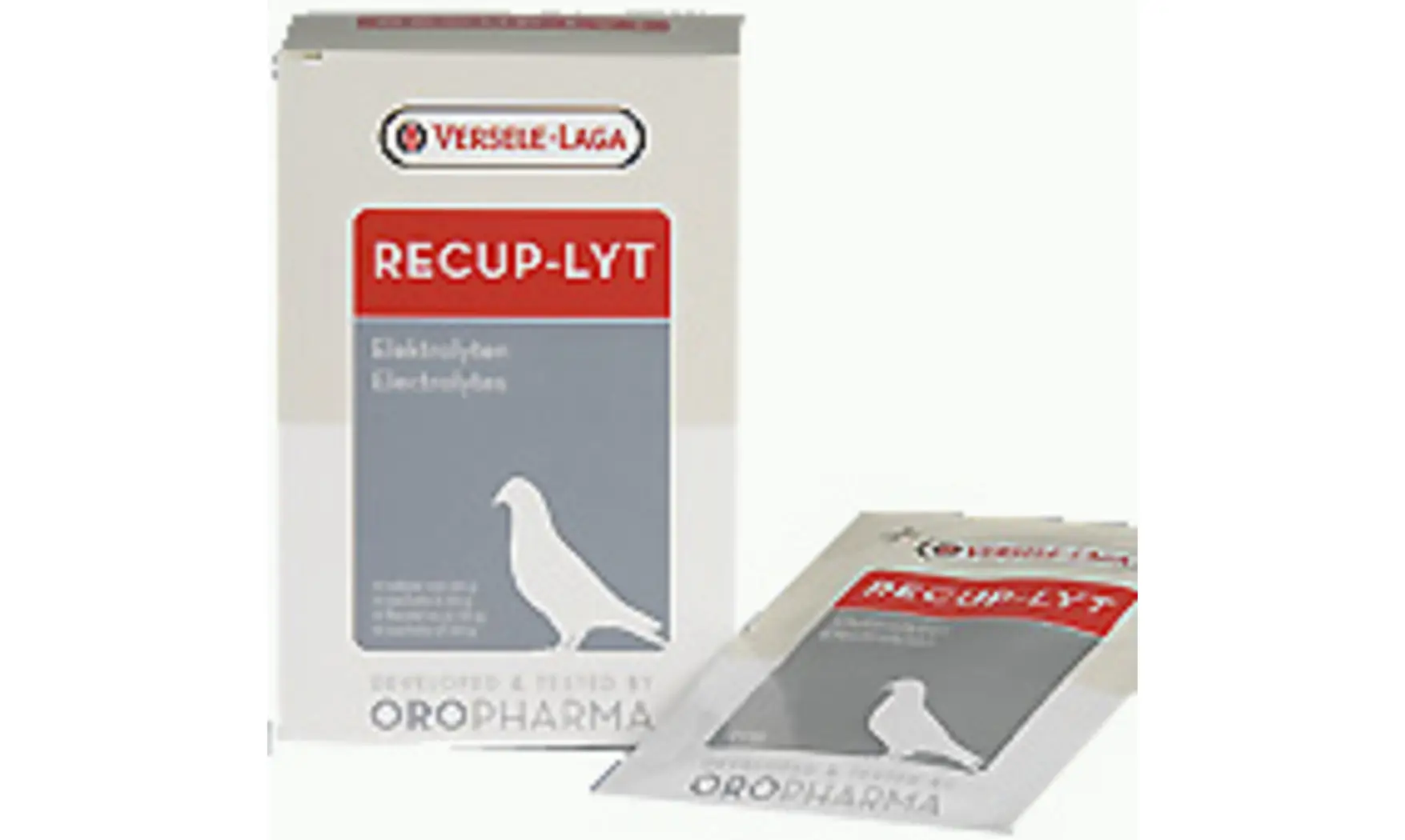 Recup-Lyt 240g