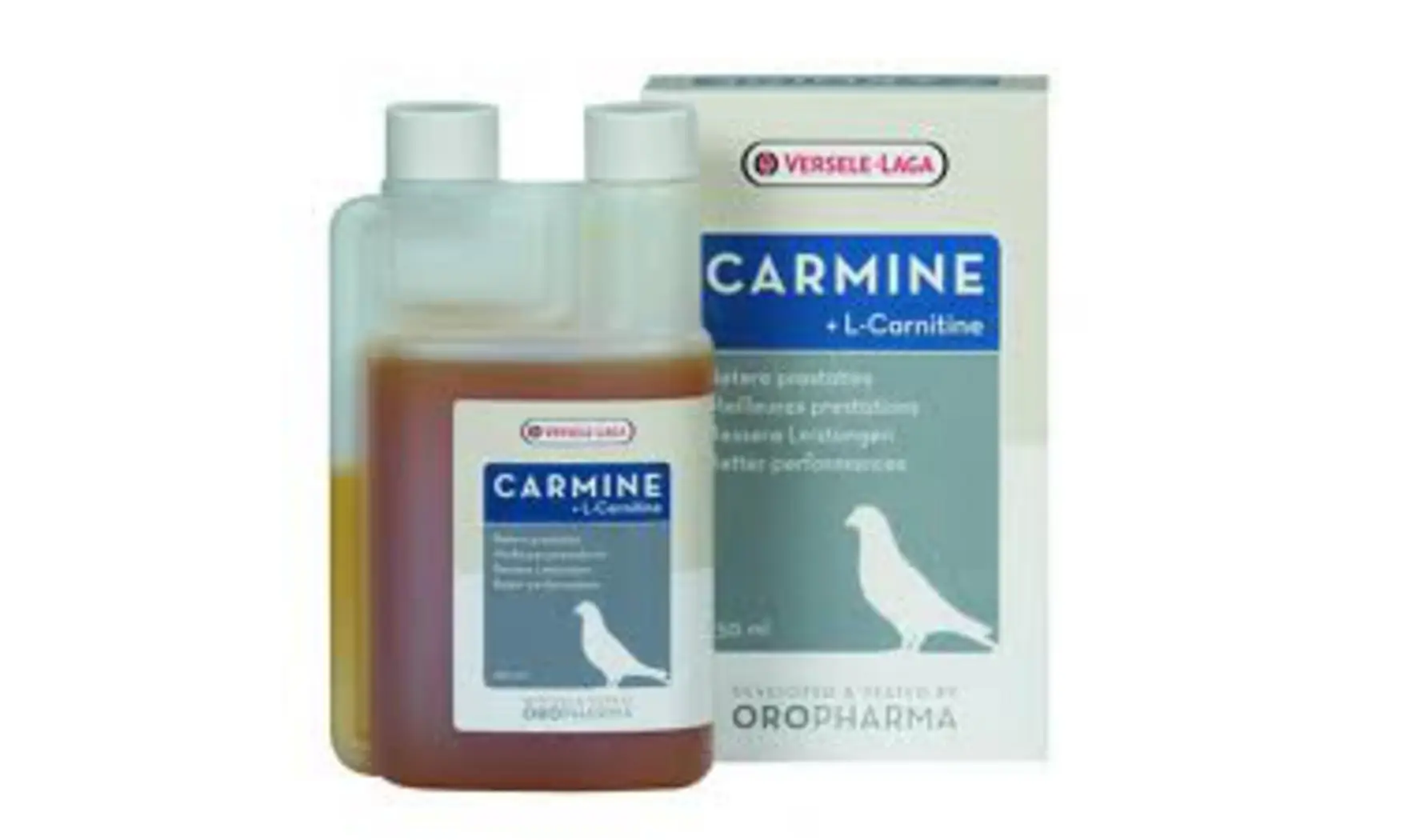 Carmine L-Carnitine