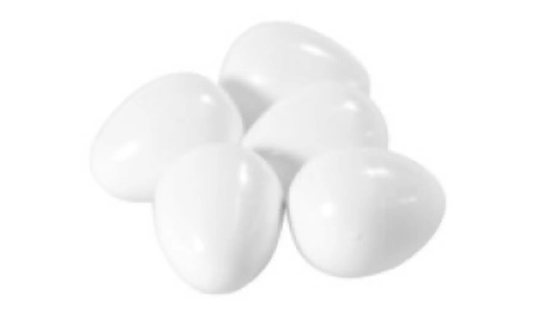 Oeufs Gd.Perruches