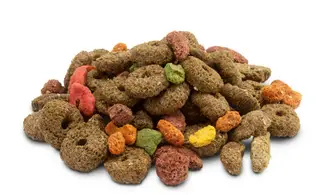 Snack Fibres Crispy