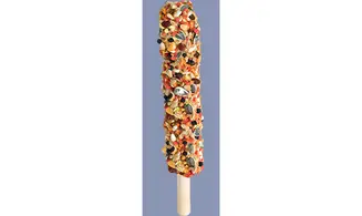 Sticks Cobayes/Chinchilla